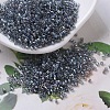 MIYUKI Delica Beads SEED-X0054-DB0179-1