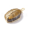 Natural Gemstone Pendants PALLOY-JF01416-4