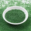 MIYUKI Round Rocailles Beads SEED-G007-RR0145-2