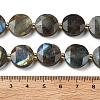 Natural Labradorite Beads Strands G-C116-A164-03-5