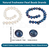Beebeecraft 2 Strands 2 Colors Natural Cultured Freshwater Pearl Beads Strands PEAR-BBC0001-23-2