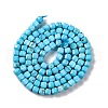 Natural Howlite Beads Strands G-G001-A03-04-3
