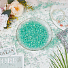 Detachable Plastic Beads DIY-WH0430-683A-06-5