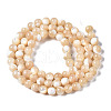 Natural Trochid Shell/Trochus Shell Beads Strands SSHEL-S266-023B-02-2