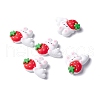 Resin Cabochons RESI-C008-06-1
