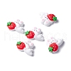 Resin Cabochons RESI-C008-06-1