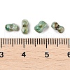 Picasso Glass Seed Beads SEED-Q038-02B-2