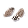 Fashion Feather Costume Accessories FIND-R01a-R01a-2