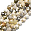 Natural Bamboo Leaf Agate Beads Strands G-C116-A34-02-2