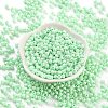 Baking Paint Glass Seed Beads SEED-A032-02R-2