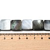 Natural Black Lip Shell Beads Strands BSHE-D300-07-15mm-4