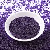 MIYUKI Round Rocailles Beads SEED-X0054-RR0308-2