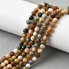 Natural Agate Beads Strands G-G991-A03-A-01A-8