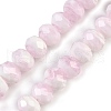 Handmade Lampwork Beads Strands LAMP-T007-13K-1