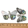 Rack Plating Brass Pave Natural Paua Shell & White Shell Big Pendants KK-U025-12P-01-3