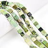 Natural Serpentine Beads Strands G-N346-05A-06-1