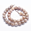 Electroplate Natural Sunstone Beads Strands G-K256-17-10mm-2