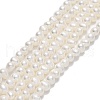 Natural Cultured Freshwater Pearl Beads Strands PEAR-F018-16A-01-1