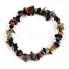 Unisex Chip Natural Tourmaline Beaded Stretch Bracelets BJEW-S143-56-2