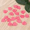 Transparent Acrylic Pendants PL591-3-4