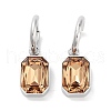 304 Stainless Steel Hoop Earring EJEW-C017-06P-04-1