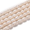 Natural Cultured Freshwater Pearl Beads Strands PEAR-L033-64-01-1