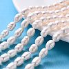  2 Strands Natural Cultured Freshwater Pearl Beads Strands PEAR-NB0001-10-7
