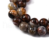 Natural Mexico Crazy Agate Beads Strands G-L615-A01-02-6