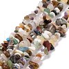 Natural Gemstone Beads Strands G-F328-26-8