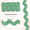 Polyester Ribbons SRIB-S050-D03-2