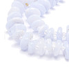 Natural Blue Lace Agate Beads  Strands G-E569-J02-3