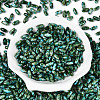Baking Paint Glass Seed Beads SEED-N008-06I-2