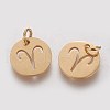 Ion Plating(IP) 304 Stainless Steel Pendants A-STAS-Q201-T445-1G-2