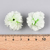 Resin Beads RESI-T059-01A-05-3
