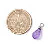 Acrylic with Iron Pendants PALLOY-JF03685-2
