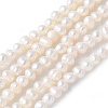 Natural Cultured Freshwater Pearl Beads Strands PEAR-I007-07K-01A-2