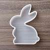 Easter DIY Silicone Candle Molds SIMO-G009-01D-3