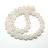 Natural Malaysia Jade Bead Strands X-G-M101-6mm-09-2