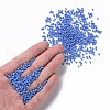 12/0 Glass Seed Beads SEED-US0003-2mm-43B-4