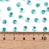 3/0 Baking Paint Glass Fringe Seed Beads SEED-A034-04H-4