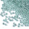 12/0 Imitation Jade Glass Seed Beads SEED-S035-02A-03-2