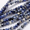 Natural Sodalite Beads Strands G-S279-10-6mm-2