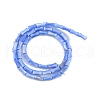 Natural Freshwater Shell Beads Strands SHEL-G013-01I-2