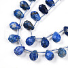 Natural Lapis Lazuli Beads Strands G-R435-15D-01-3
