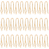 GOMAKERER 30Pcs Brass Earring Hooks KK-GO0001-70-1