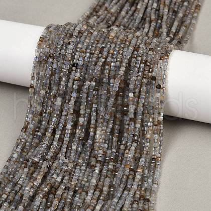 Natural Labradorite Beads Strands G-RM2025-C34-A-1