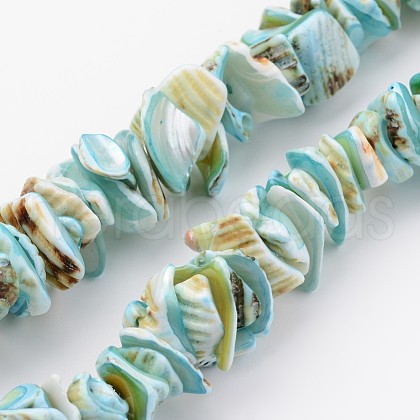 Natural Shell Bead Strands X-BSHE-P010-04-1