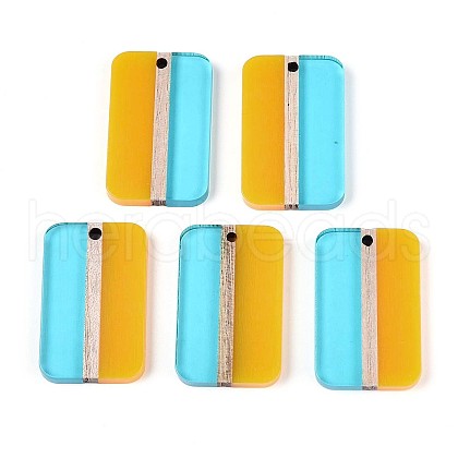Transparent Resin & Wood Pendants RESI-T057-75-1