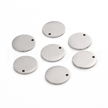 304 Stainless Steel Charms STAS-I141-03B-P-1