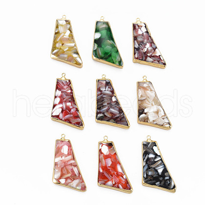 Resin Pendants SHEL-S276-152-1